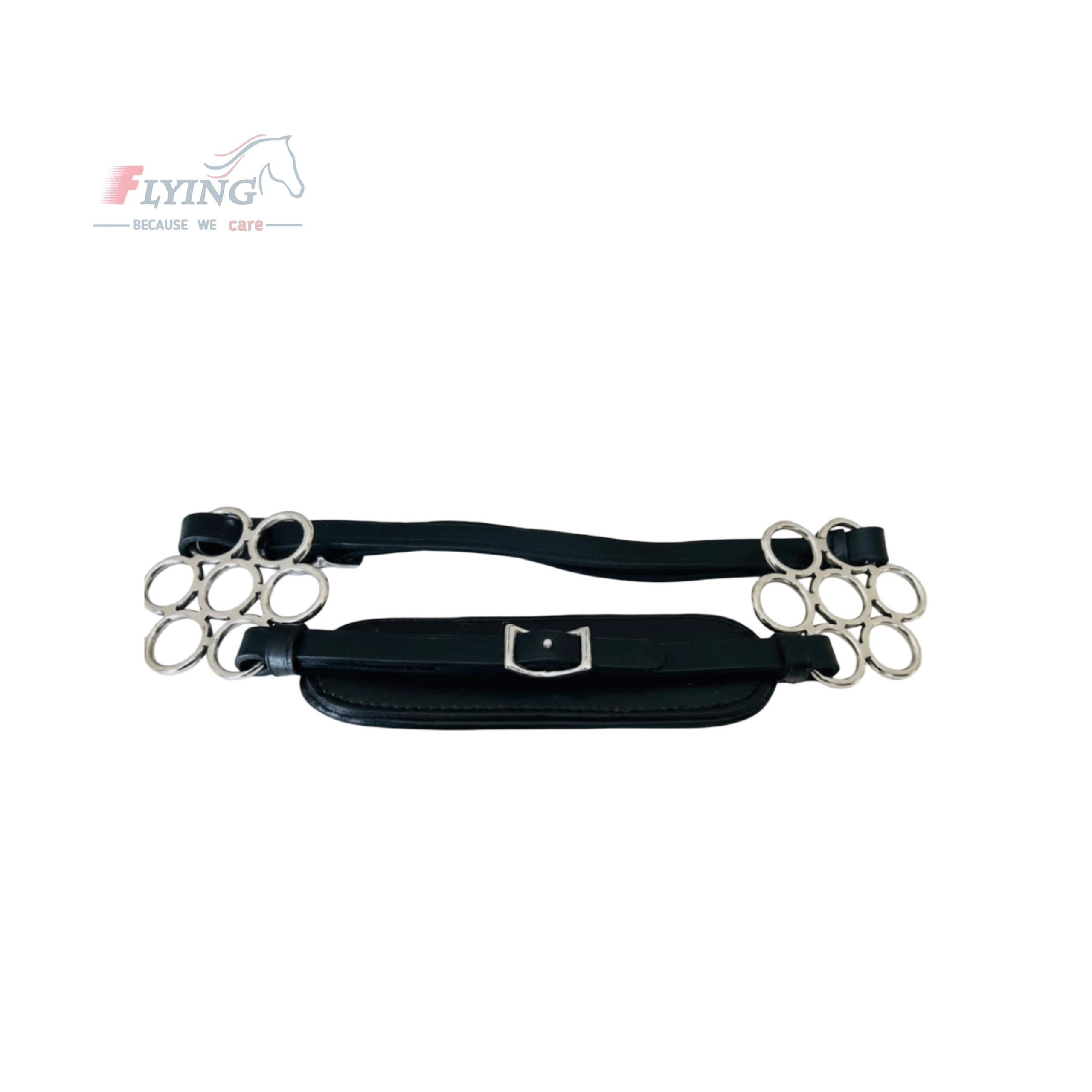 Untitled design - 2026-01-18T001818.663 Flower Wheel Cowhide English Hackamore STAINLESS STEEL With Leather Curb Strap - Image 1